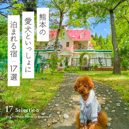 【熊本の犬と泊まれる宿17選】熊本で人気のペットと泊まれる宿｜2023年版