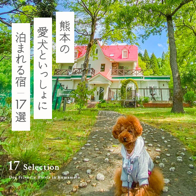 【犬と泊まれる宿 熊本17選】熊本で人気のペットと泊まれる宿｜2023年版