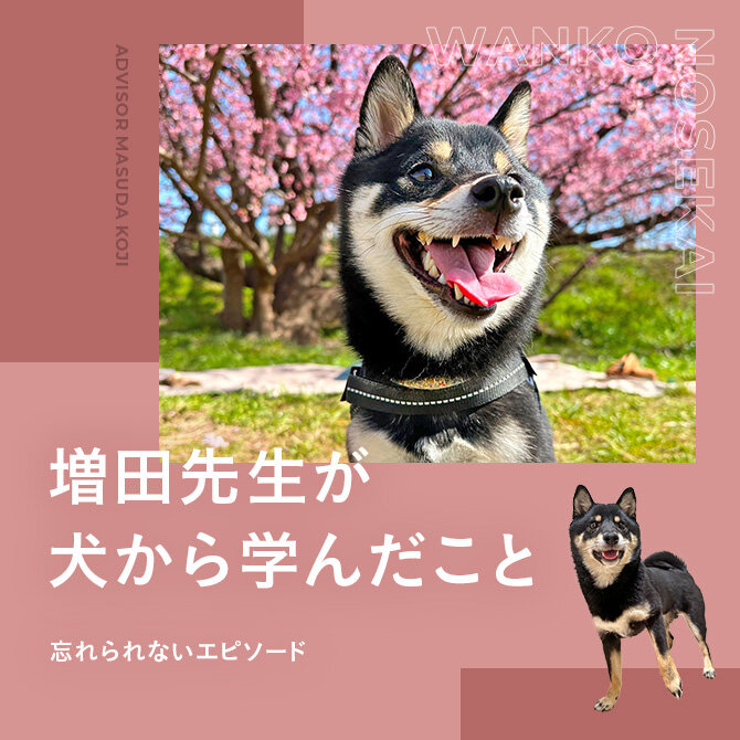 【犬が教えてくれたこと】増田先生が犬から学んだこと。忘れられないエピソード