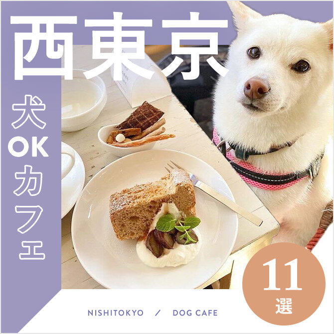 【西東京のドッグカフェ・犬と行けるカフェ11選】大型犬店内同伴OK！ドッグラン併設も！