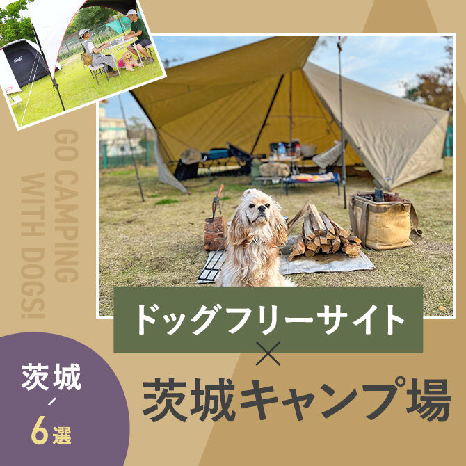 【ドッグフリーサイトのあるキャンプ場 茨城7選】ペット可・犬連れOK！