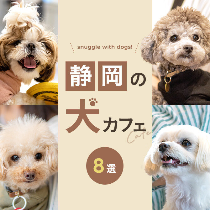 【静岡の犬と触れ合えるカフェ8選】犬カフェなど静岡で犬と触れ合えるカフェ