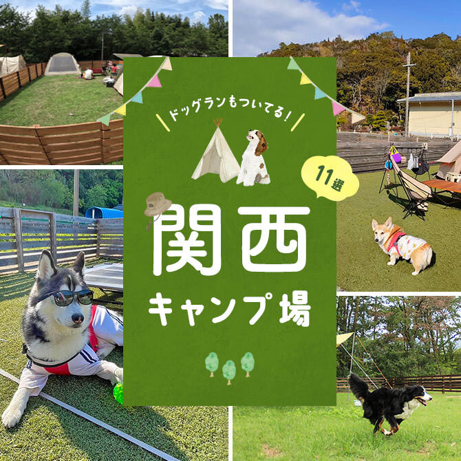 【ドッグラン付きキャンプ場 関西】犬連れでいける関西のキャンプ場11選
