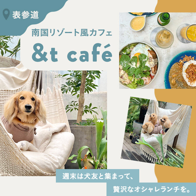 【&t cafe（アンドティーカフェ）】店内ペットOKな原宿表参道カフェ
