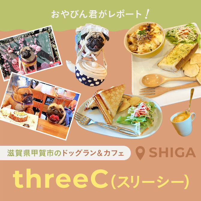 【滋賀県甲賀市のドッグラン＆カフェ】店内愛犬同伴可能＆リードフリーOKなカフェ「threeC（スリーシー）」