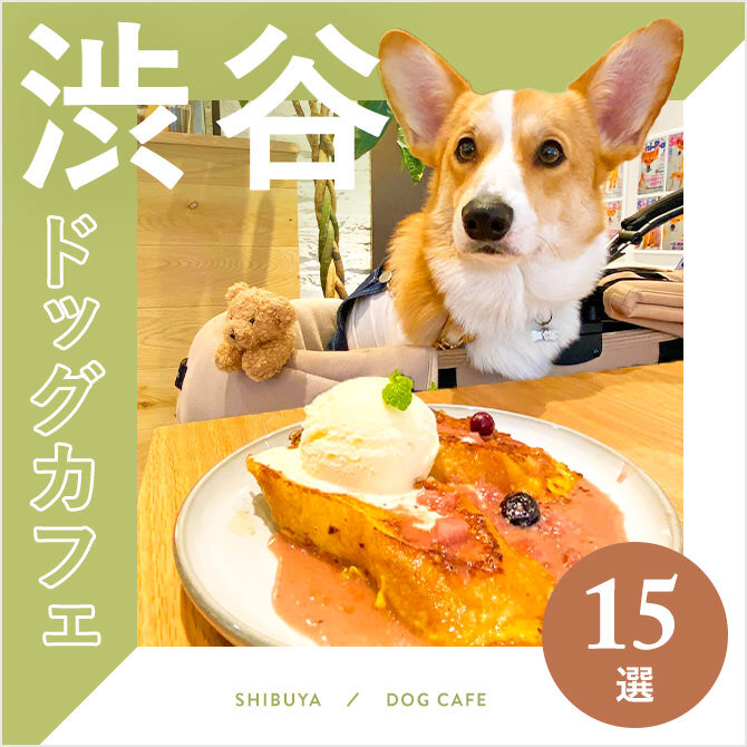 【渋谷ドッグカフェ15選】渋谷エリアでおすすめの店内犬同伴OKドッグカフェ15選｜2023年版