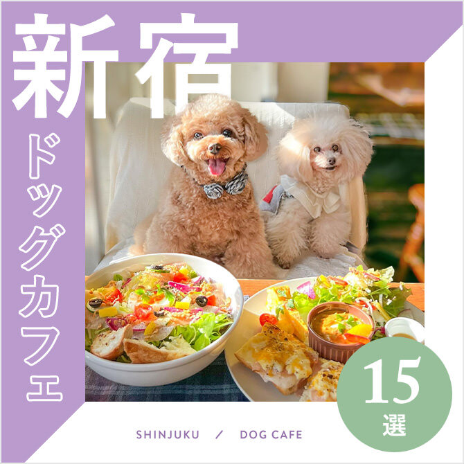 【新宿ドッグカフェ15選】新宿エリアでおすすめの店内犬同伴OKドッグカフェ15選｜2023年版