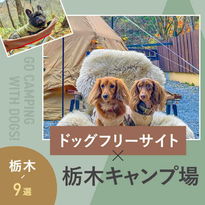 【ドッグフリーサイトのあるキャンプ場 栃木9選】ペット可・犬連れOK！