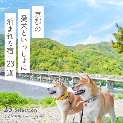 【京都の犬と泊まれる宿23選】京都で人気のペットと泊まれる宿・コテージ｜2024年最新