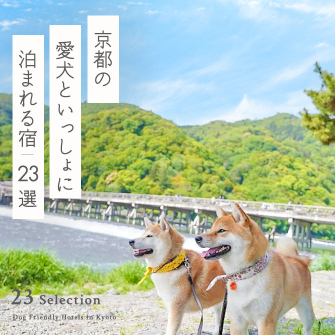 【京都の犬と泊まれる宿15選】京都で人気のペットと泊まれる宿｜2023年版