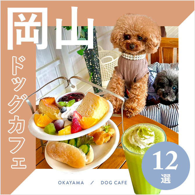 【岡山ドッグカフェ】岡山県のおすすめドッグカフェ12選！大型犬店内同伴OKも！｜2023年版
