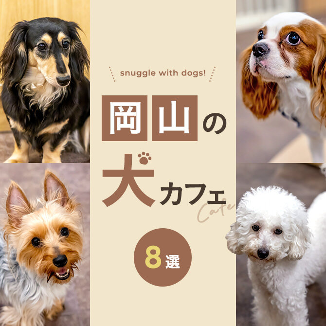 【岡山の犬と触れ合えるカフェ8選】犬カフェなど岡山で犬と触れ合えるカフェ