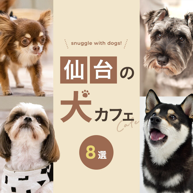 【仙台の犬と触れ合えるカフェ8選】犬カフェなど仙台で犬と触れ合えるカフェ