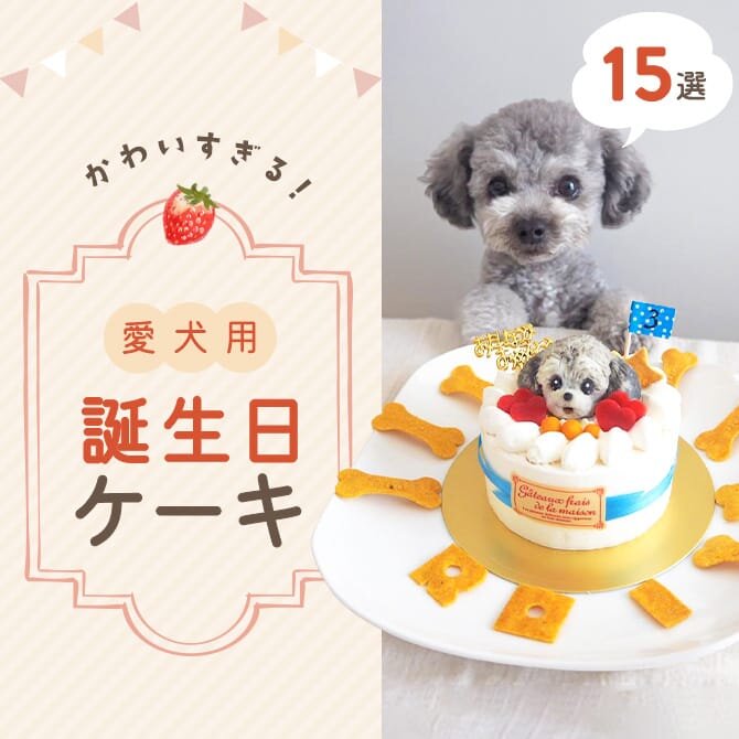 犬用誕生日ケーキ人気15選】可愛過ぎる愛犬の誕生日ケーキ！クリスマス