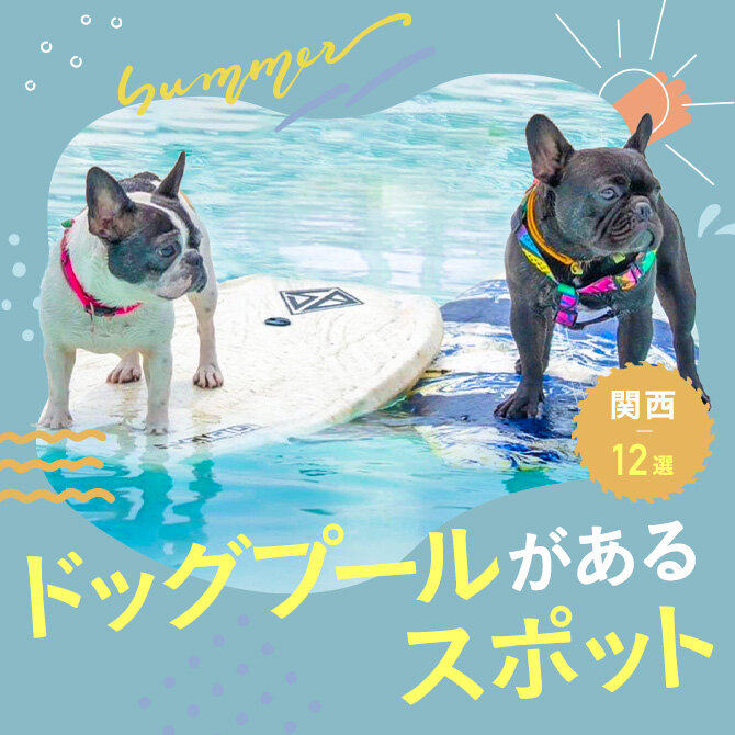 犬用プールがあるおすすめ施設12選｜関西近郊2023年最新版