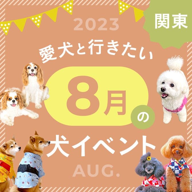 【2023年8月】関東で愛犬と行きたいドッグイベント10選