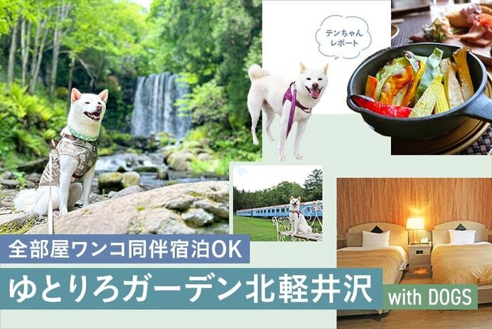 【ゆとりろガーデン北軽井沢 with DOGS】愛犬と泊まれるドッグラン付きハーフアウトドアホテル