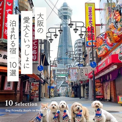 【大阪の犬と泊まれる宿10選】大阪で人気のペットと泊まれる宿｜2023年版