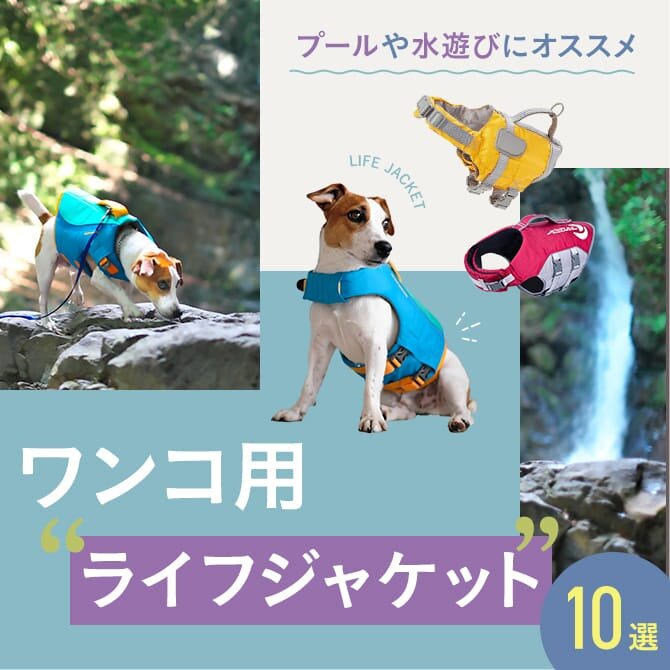 【犬用ライフジャケット10選】プールや水遊びにおすすめアイテム｜2023年最新版