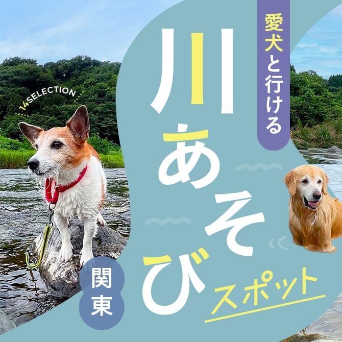 【川遊び関東14選】愛犬と行けるおすすめの川遊びスポット｜2023年版