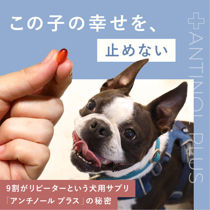 アンチノール犬用サプリメント60粒皮膚被毛関節腎臓健康維持老犬