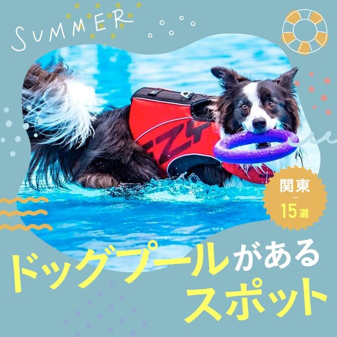 犬用プールがあるおすすめ施設15選｜関東近郊2023年最新版