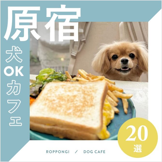 【原宿ドッグカフェ】原宿エリアで犬と行ける人気カフェ20選｜2024年版