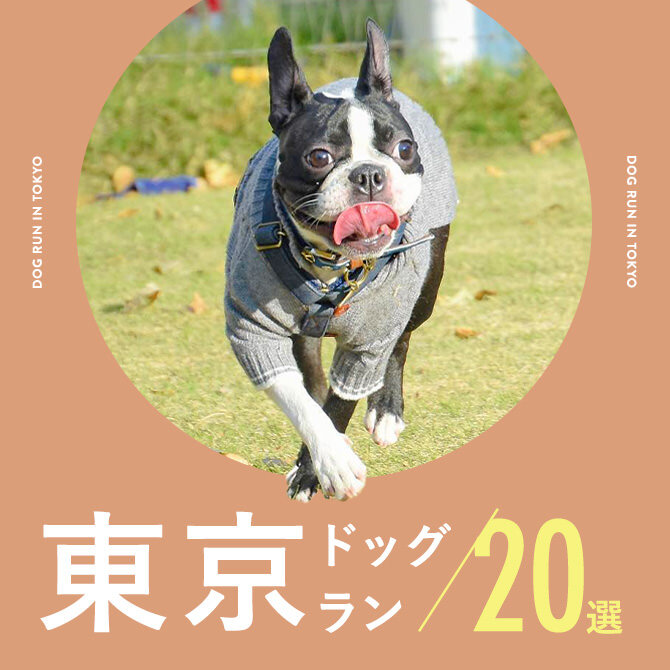 【ドッグラン東京】東京都内の人気ドッグラン20選｜2023年版