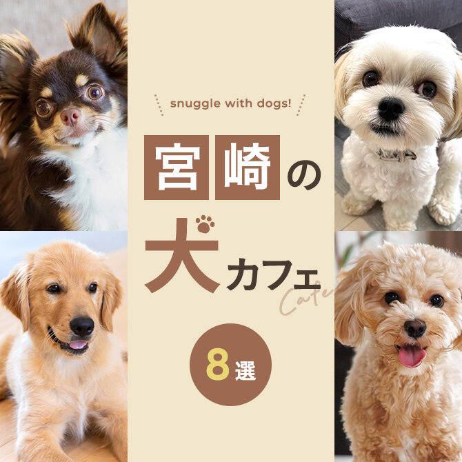 【宮崎の犬と触れ合えるカフェ8選】犬カフェなど宮崎で犬と触れ合えるカフェ