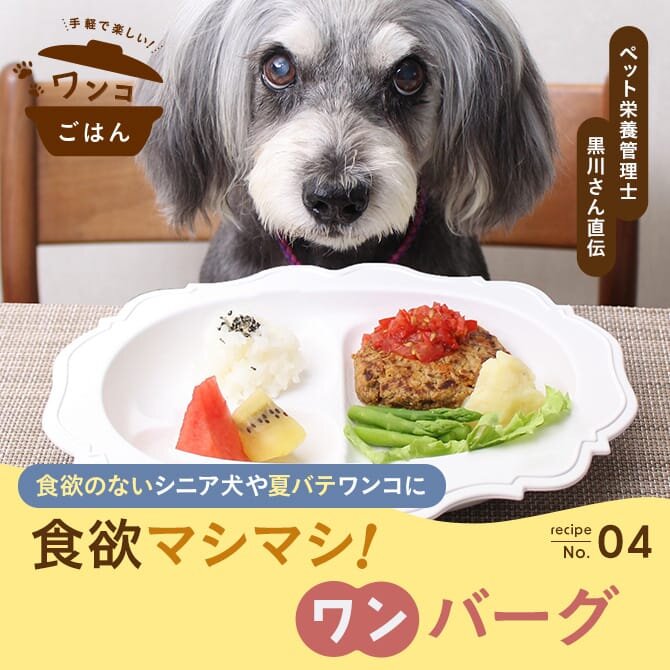 【愛犬薬膳ご飯】食欲のない老犬や夏バテワンコにおすすめの「食欲改善ワンバーグプレート」