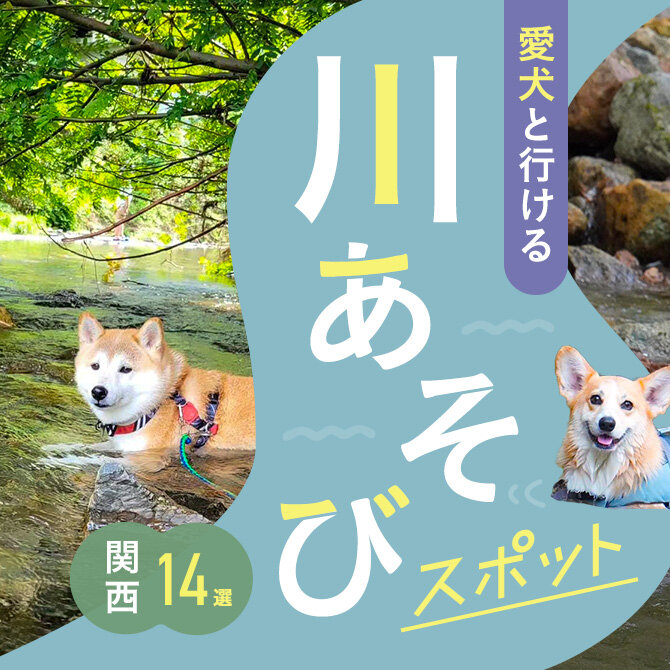 【川遊び関西14選】愛犬と行けるおすすめの川遊びスポット｜2023年版