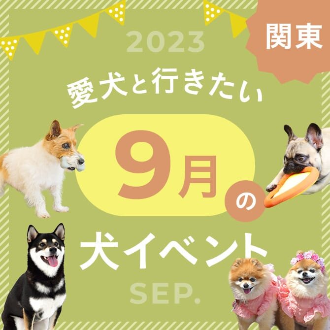 【2023年9月】関東で愛犬と行きたいドッグイベント11選