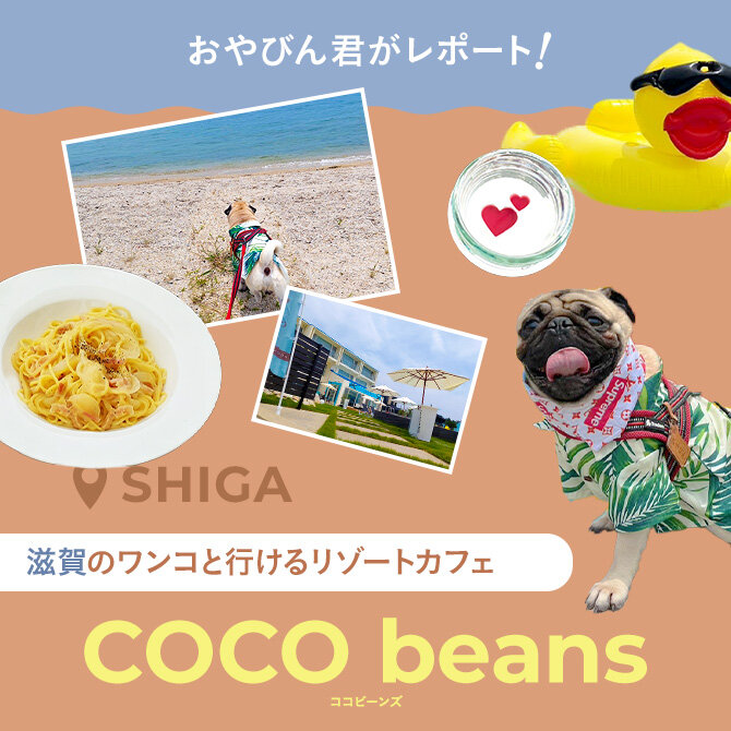 【滋賀ドッグカフェ】犬連れランチにおすすめなバリ風リゾートカフェ「COCO beans 近江舞子店」