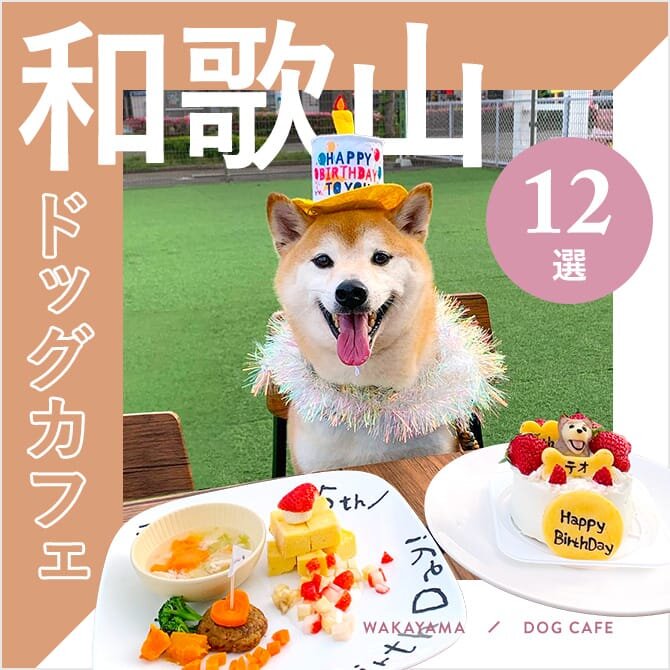 【和歌山ドッグカフェ】和歌山で人気のおすすめドッグカフェ12選｜2023年版