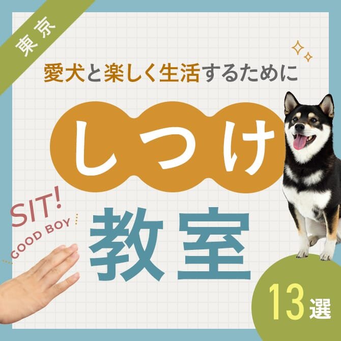 【犬のしつけ教室13選】東京の犬しつけ教室｜2023年版