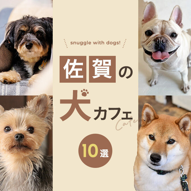 【佐賀の犬と触れ合える場所10選】犬カフェなど佐賀で犬と触れ合える場所