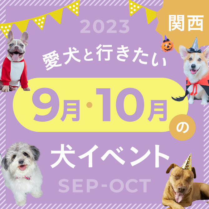 【2023年9月10月】関西で愛犬と行きたいドッグイベント12選