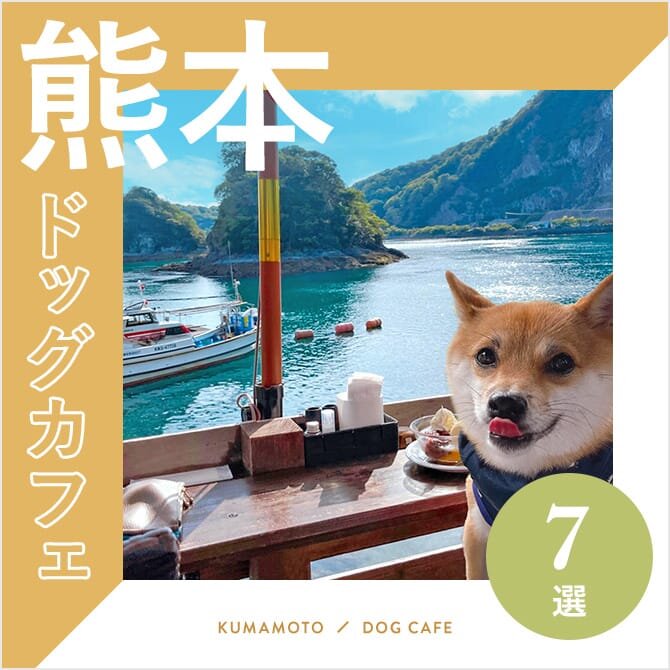 【ドッグカフェ熊本7選】ドッグラン併設・大型犬店内同伴OKも！｜2023年版