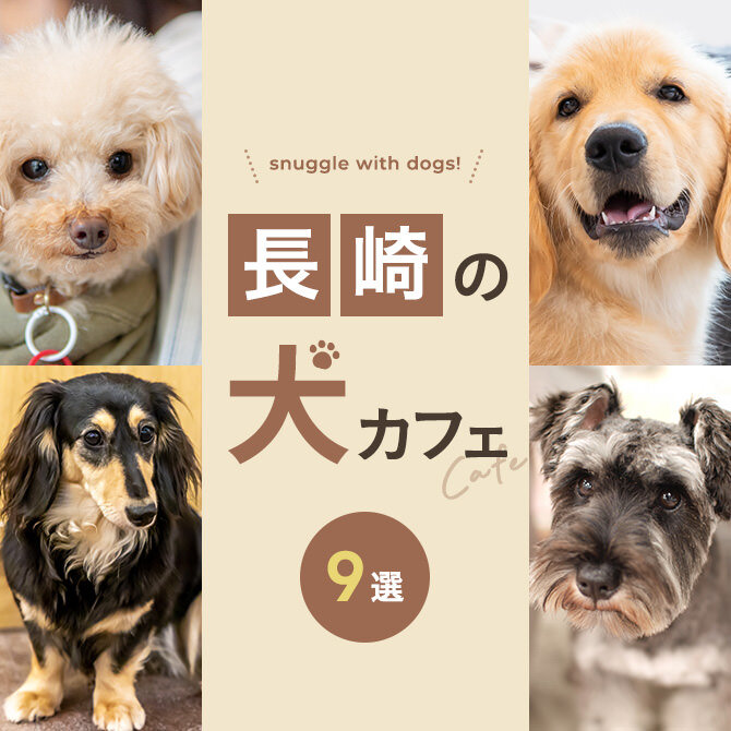 【長崎の犬と触れ合える場所9選】犬カフェなど長崎で犬と触れ合える場所