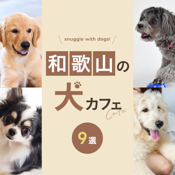 【和歌山の犬と触れ合える場所9選】犬カフェなど和歌山で犬と触れ合える場所