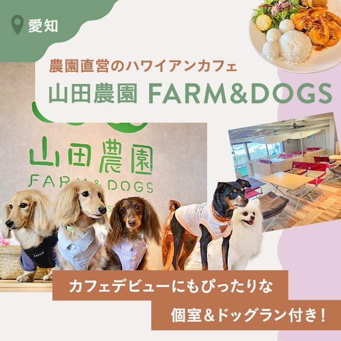 【山田農園FARM&DOGS】愛知県岡崎市のドッグカフェ