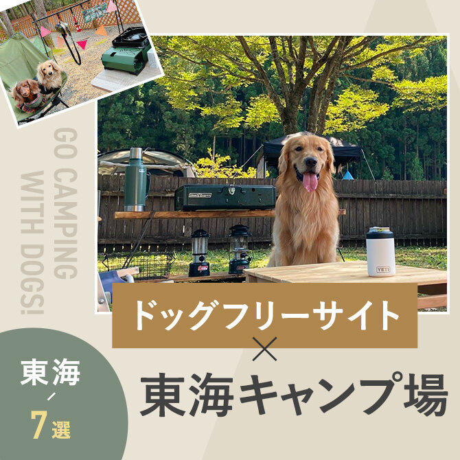 【ドッグフリーサイトのあるキャンプ場 東海7選】ペット可・犬連れOK！