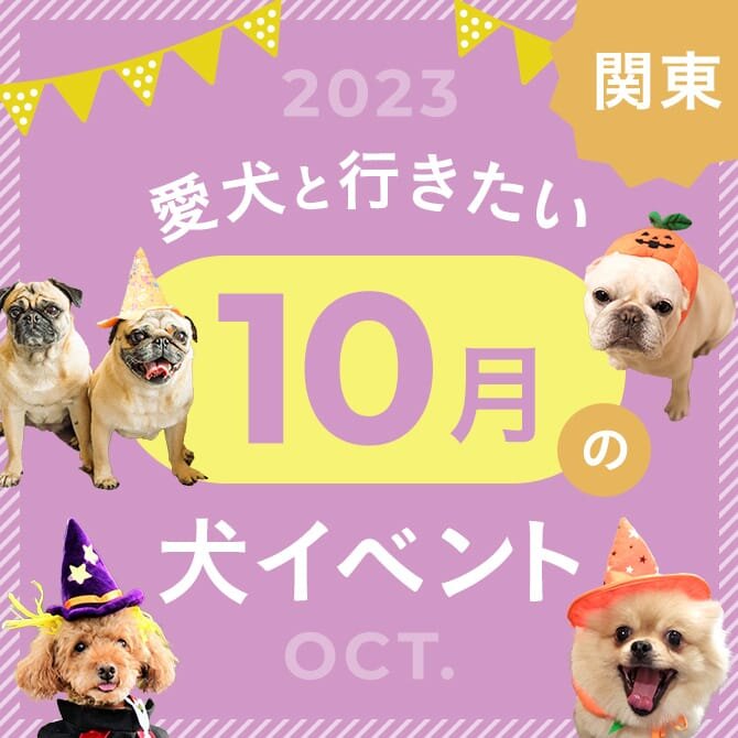 【2023年10月】関東で愛犬と行きたいイベント25選