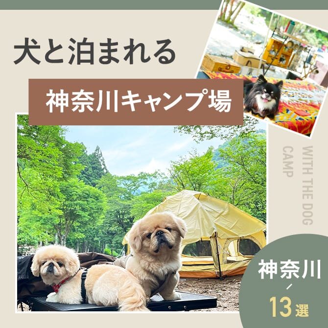【神奈川の犬と泊まれるキャンプ場13選】ドッグフリーサイトやドッグランのあるキャンプ場｜2023年版
