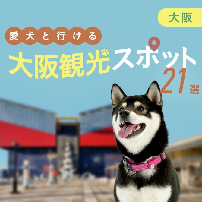 【大阪の愛犬といけるお出かけスポット21選】愛犬連れOKの人気スポット・施設まとめ