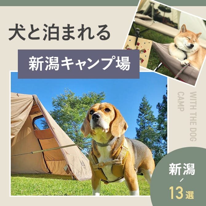 新潟の犬と泊まれるキャンプ場13選】ドッグフリーサイトやドッグランのある