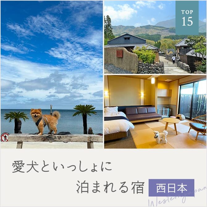 【西日本ペットと泊まれる宿ランキング 】西日本で犬と泊まれる宿人気15選