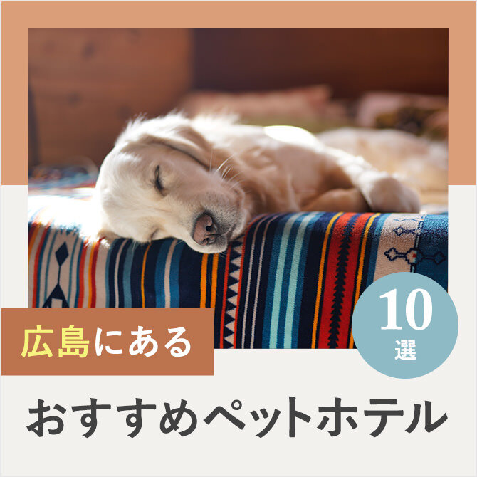 【ペットホテル広島】広島のドッグホテル10選！ペット宿泊・お預かり