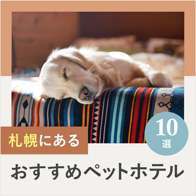 【ペットホテル札幌】札幌のドッグホテル10選！ペット宿泊・お預かり