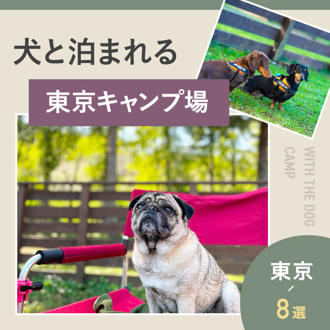 【東京の犬と泊まれるキャンプ場8選】ドッグラン・ドッグフリーサイトのあるキャンプ場も！